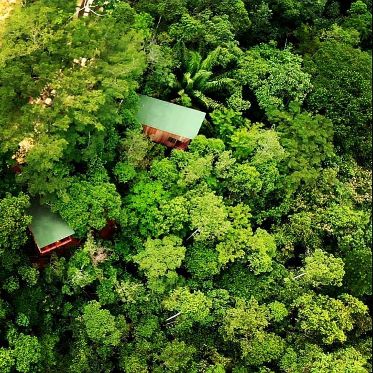 La Luciole Ecolodge Paraty Exterior photo